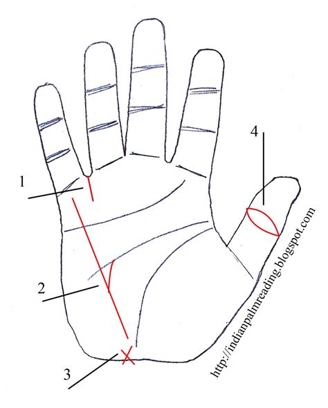 Meanwhile, the money line starts from below the index finger. Sign Of Inheritance Palmistry | INDIAN PALM READING - ASTROLOGY