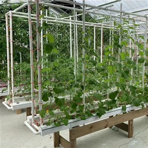 Buy, sell, and discover rare digital items. High Quality NFT hydroponic channel