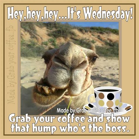 Hey Hey Hey Its Wednesday Pictures Photos And Images For Facebook