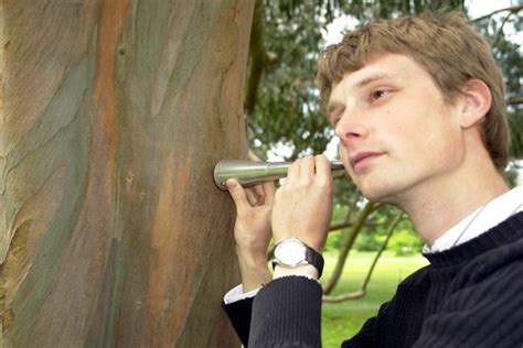 Alex Metcalf Listens Eucalyptus Tree Using Editorial Stock Photo