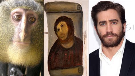 Whos The Monkey Lesulas Famous Lookalikes This Just In Blogs