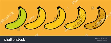 Banana Ripeness Chart Set Different Color Vetor Stock Livre De