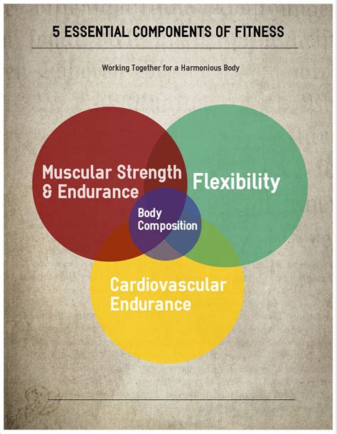 5 Essential Components Of Fitness Muscularstrength Muscularendurance Flexibility