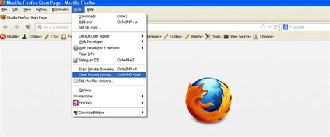 I seriously don't know how people deal with ios. How to Clear Cache in Firefox - General - What Mobile