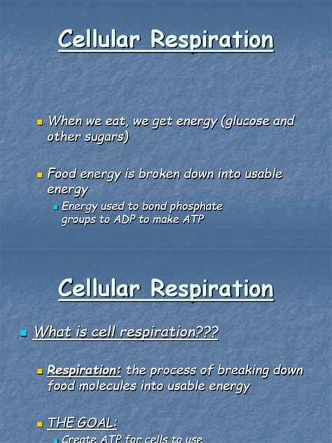 • during the breathing, exchange of gasses (oxygen and carbon dioxide) take place. Cellular Respiration: When we eat, we get energy (glucose ...