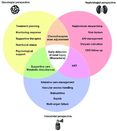 The Ideal Management Of Cancer Patients With Nephrotoxic Aki Venn