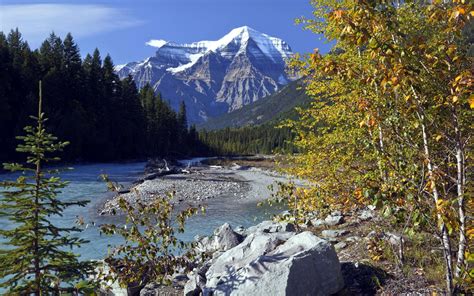 Mount Robson Provincial Park Colombie Britannique Canada Forêt