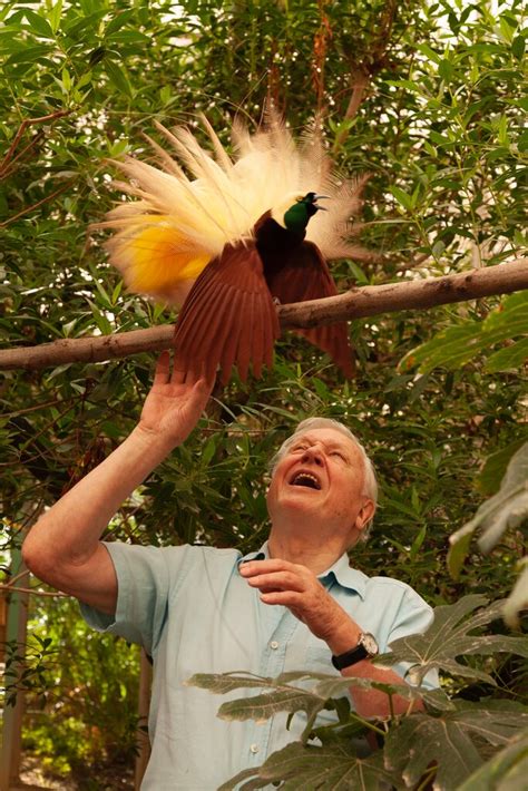 David Attenborough Still Has Hope For Our Future The New York Times