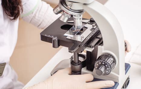 Great eastern panel clinic listing (for new business submission only) updated as at 30/04/2021* note: Veterinary Laboratory Near Me 06475 - Animal Hospital of ...