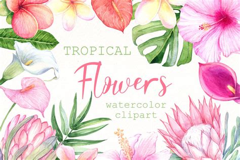 Watercolor Tropical Flowers Clipart Exotic Floral Png By