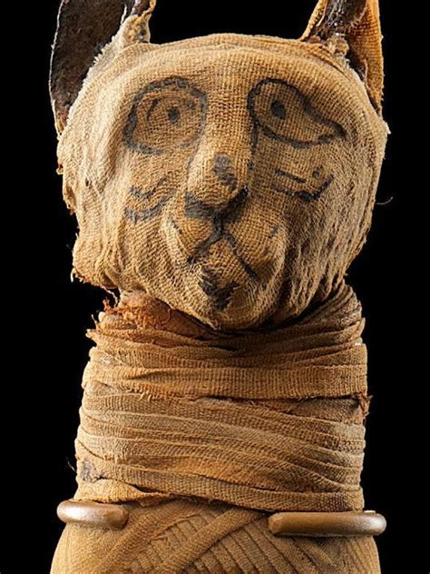 Mummies Exhibit At Museum Ancient Egyptian Art Egyptian Art Ancient Egyptian