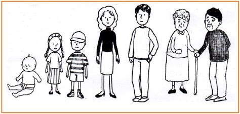 Keberadaan antara satu sel dengan sel yang lain 3. BIOLOGI GONZAGA: MENUJU DEWASA