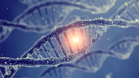 Dna Mutations Do Not Occur Randomly Discovery Transforms Our View Of