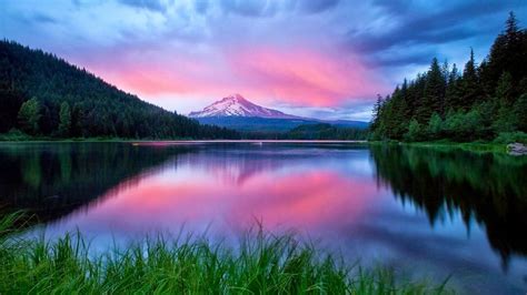 Every image can be downloaded in nearly every resolution to. Full Hd Nature Wallpapers 1080P Free - Widescreen HD ...