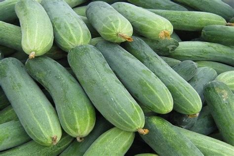 Các hợp chất này có tính chất lợi hãy nhớ rằng bạn chỉ có thể kiểm soát cân nặng lý tưởng nếu duy trì một chế độ ăn uống kết hợp với. Cách làm salad dưa leo kiểu Nhật lạ miệng mà thơm ngon dễ ăn