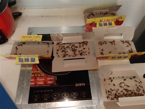 的事情 結果今天早上案情慢慢釐清 應該是跟餐廳之間的糾紛 然後小弟去幹了這件事情 原本應該跟一般的潑漆事件一樣 被抓到就社維法罰一罰而已. 驚!北市五星級社宅爆蟑螂一直竄出 住戶被嚇到不敢開伙 - 生活 - 自由時報電子報