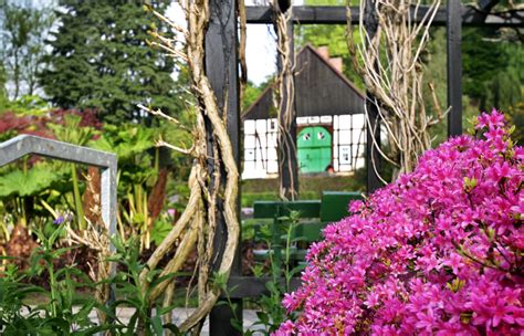 Maybe you would like to learn more about one of these? Botanischer Garten | Bielefeld.JETZT