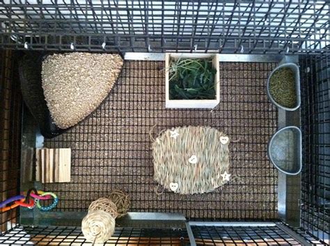 Um dir die aufwendige suche nach dem passenden kaninchenkäfig zu erleichtern habe ich hier 3 empfehlungen der beliebtesten kaninchenkäfige für die wohnung zusammengestellt. Pin von katie williams auf Wohnungskaninchen ...