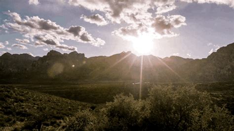 In this category, you will find awesome sun images and animated sun gifs! Episode 4 Sunshine GIF by UFC - Find & Share on GIPHY