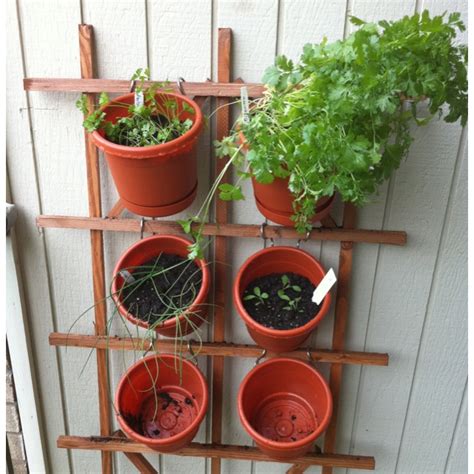 Hanging Herb Garden For Apartment I Saw This On Another Pin And Made