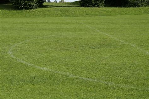 Manicured Lawn Sports Ground Football Pitch Grass Green Lines