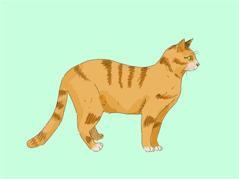 Cat Profile Picture Drawing ~ Cat Profile Drawing Bodegawasues