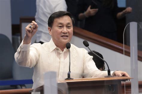 Tolentino wants gov’t workers to bare kin who are part of 'terror