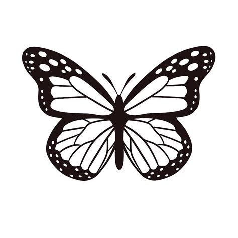 Black And White Butterfly Digital Art By Nicole Wilson