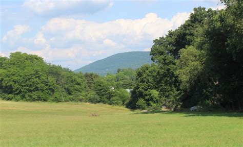 With the engaged and passionate support of the community, clearwater conservancy (cwc) has raised 100% of its $2.75 million fundraising goal for the slab cabin run initiative. PA Environment Digest Blog: ClearWater Conservancy: Slab ...