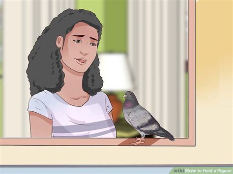 3 Ways To Hold A Pigeon Wikihow
