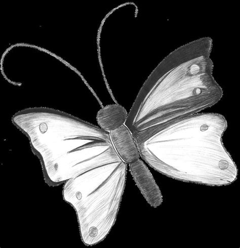 Pin Dibujos Mariposas Lapiz Todo Para Facebook Imagenes Kamistad