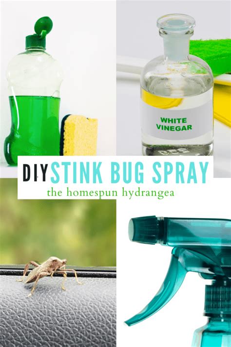 Homemade Stink Bug Repellent Spray