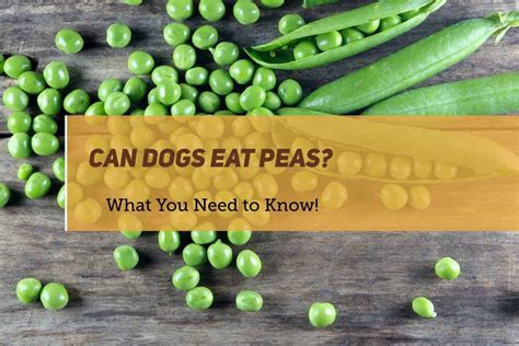 Are Peas Ok For Dogs