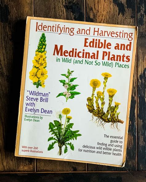 12 Best Books On Foraging And Wildcrafting In 2020 Edible Wild Plants