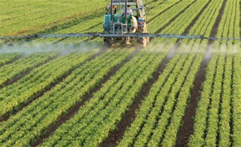 Consumers And Farm Workers At Risk From Toxic Pesticides Sprayed On Salad