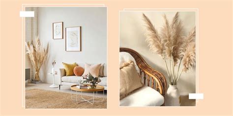 Check spelling or type a new query. Herbe de la pampa : 15 façons de l'adopter dans sa déco ...