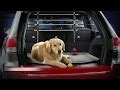 The weathertech pet partition helps keep your pet in your vehicle's back seat area. WeatherTech Pet Barriers - Custom Car Dividers | WeatherTech