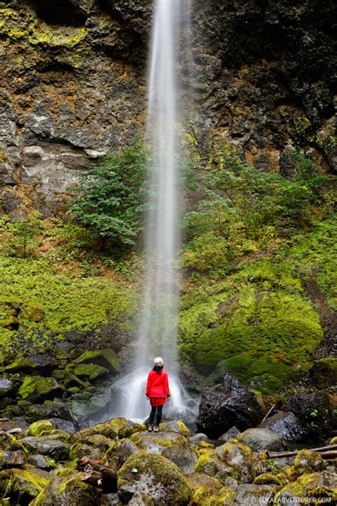 The Beautiful Elowah Falls Hike Chasing Waterfalls In Oregon