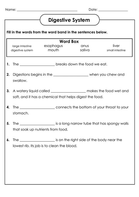 Science 4th Grade Worksheets