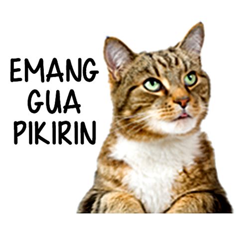 Explore and download more than million+ free png transparent images. Whatsapp Download Stiker Wa Lucu Png