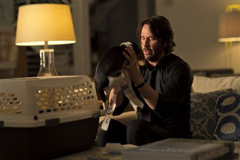 A final gift from my wife. John Wick - New poster & images | Confusions and Connections