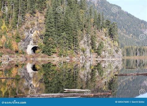 Cada In Rocky Mountains Al Tunnel Del Treno Gli Alberi Attillati Che