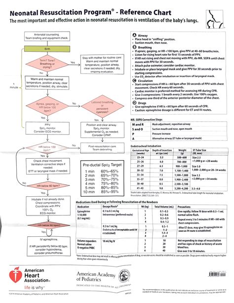 Neonatal Resuscitation Flow Sheet