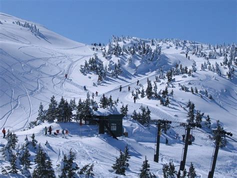 Eaglecrest Ski Area Ski Holiday Reviews Skiing