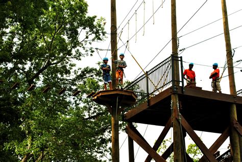 Treetop Adventure Reopens at Turtle Back Zoo in West Orange - News