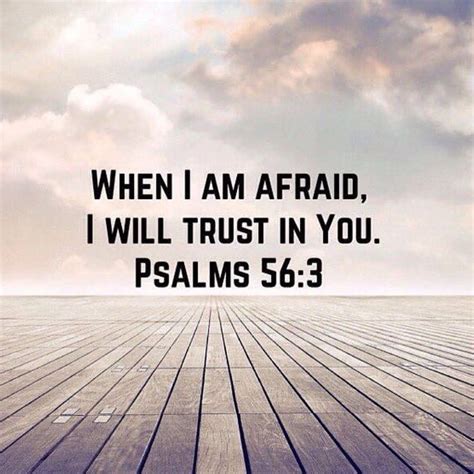 I Will Trust In You