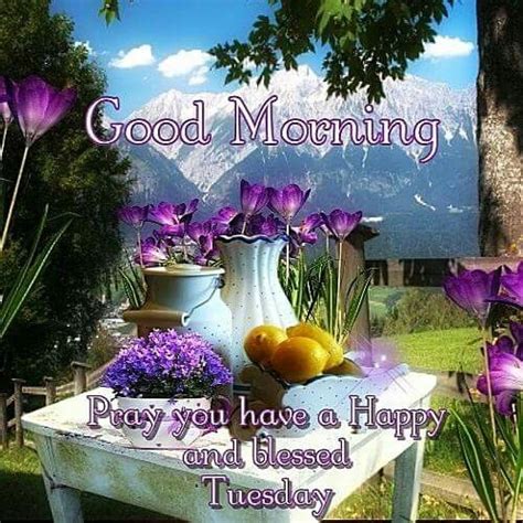 Good Morning Pray You Have A Happy And Blessed Tuesday Pictures