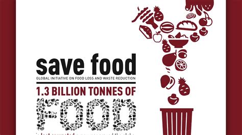 Save Food Global Initiative On Food Loss And Waste Fao En Youtube