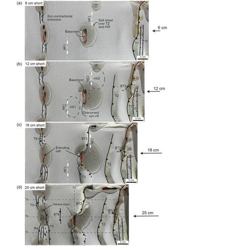 Top View Images Illustrating The Contractional Kinematic Evolution Of