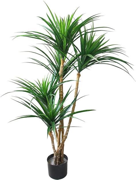 Artificial Tropical Yucana Tree With Rubber Leaves And